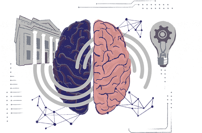 brain